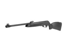 carabine à air comprimé GAMO modèle BLACK BEAR